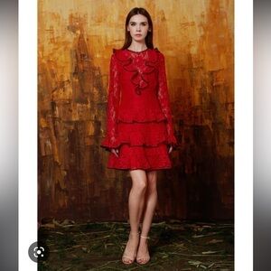 Alexis Tracie Long Sleeve Ruffle Mini Dress. Size Small. EUC!!